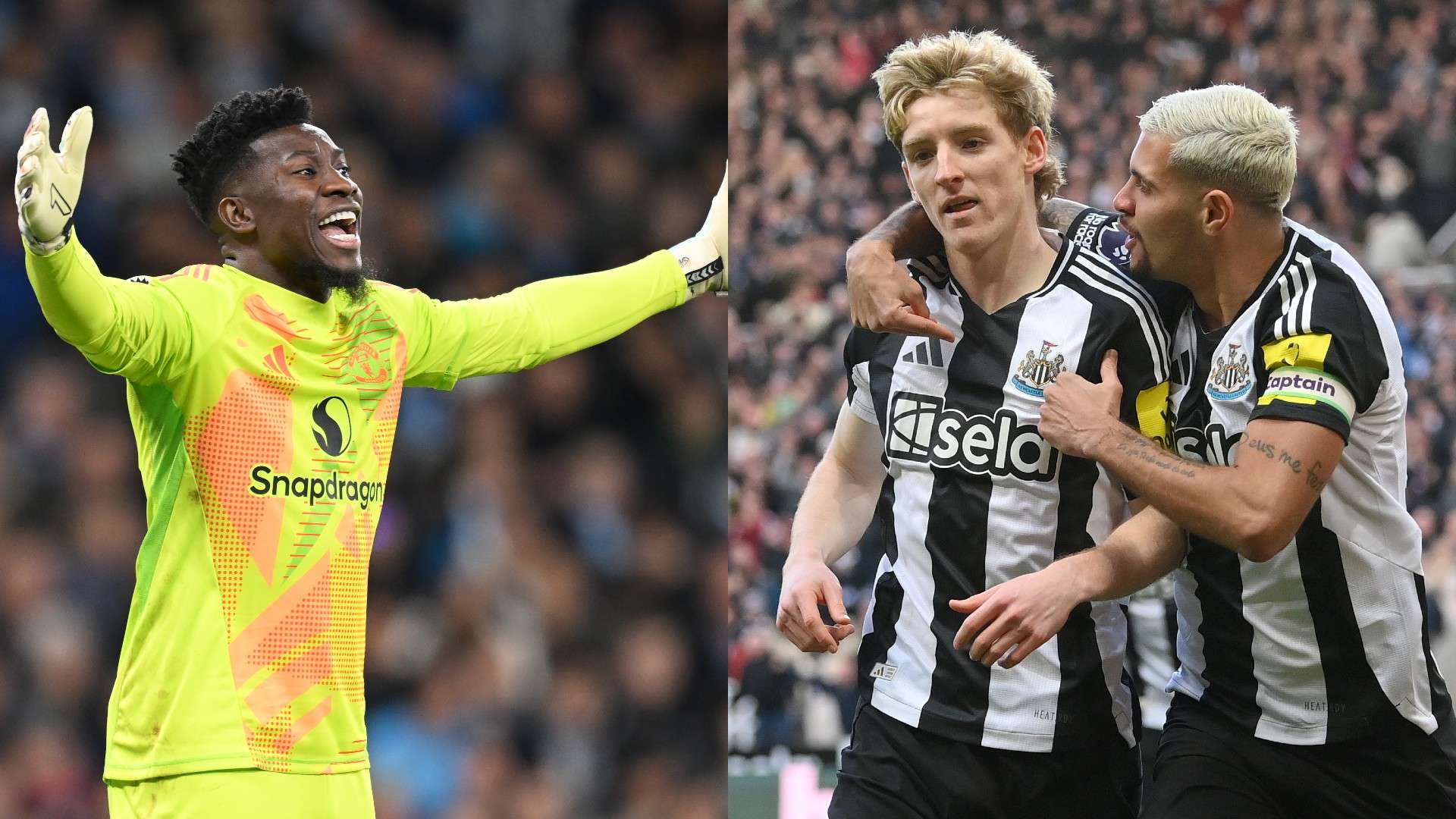 捧起那象征 捧起那象征