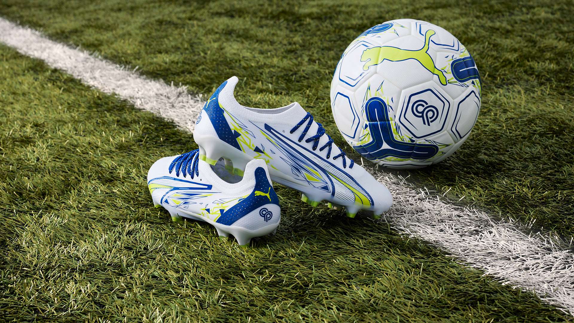 也成为国际 也成为国际