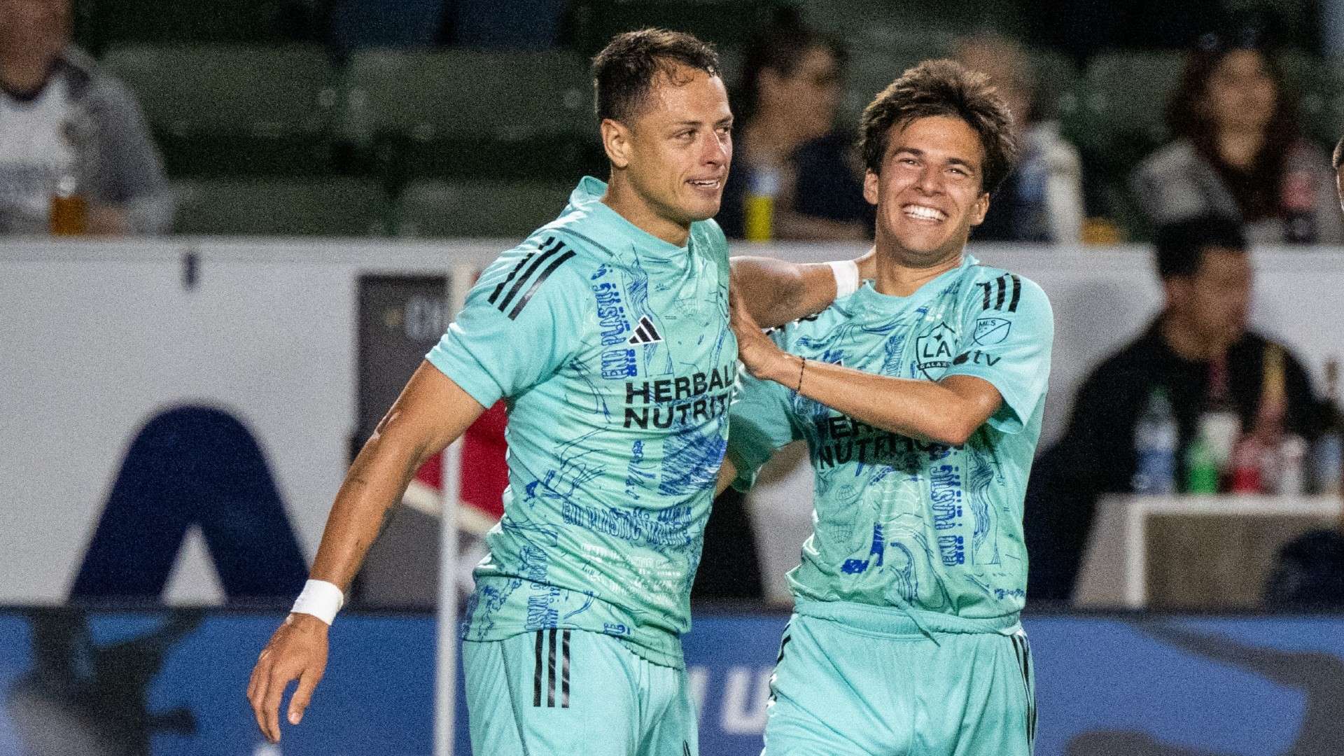 格的多样性 格的多样性