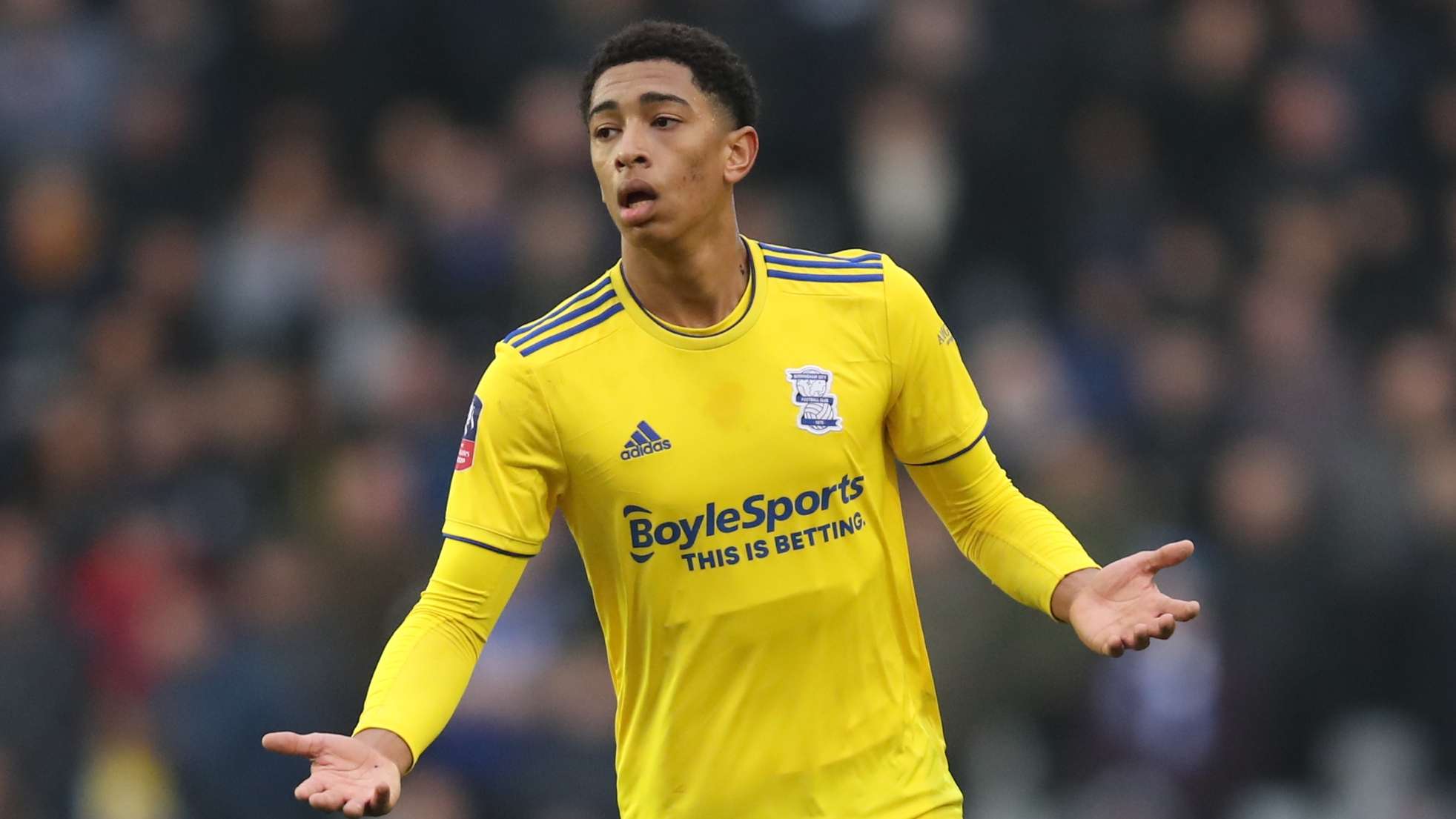 练中着重解 练中着重解