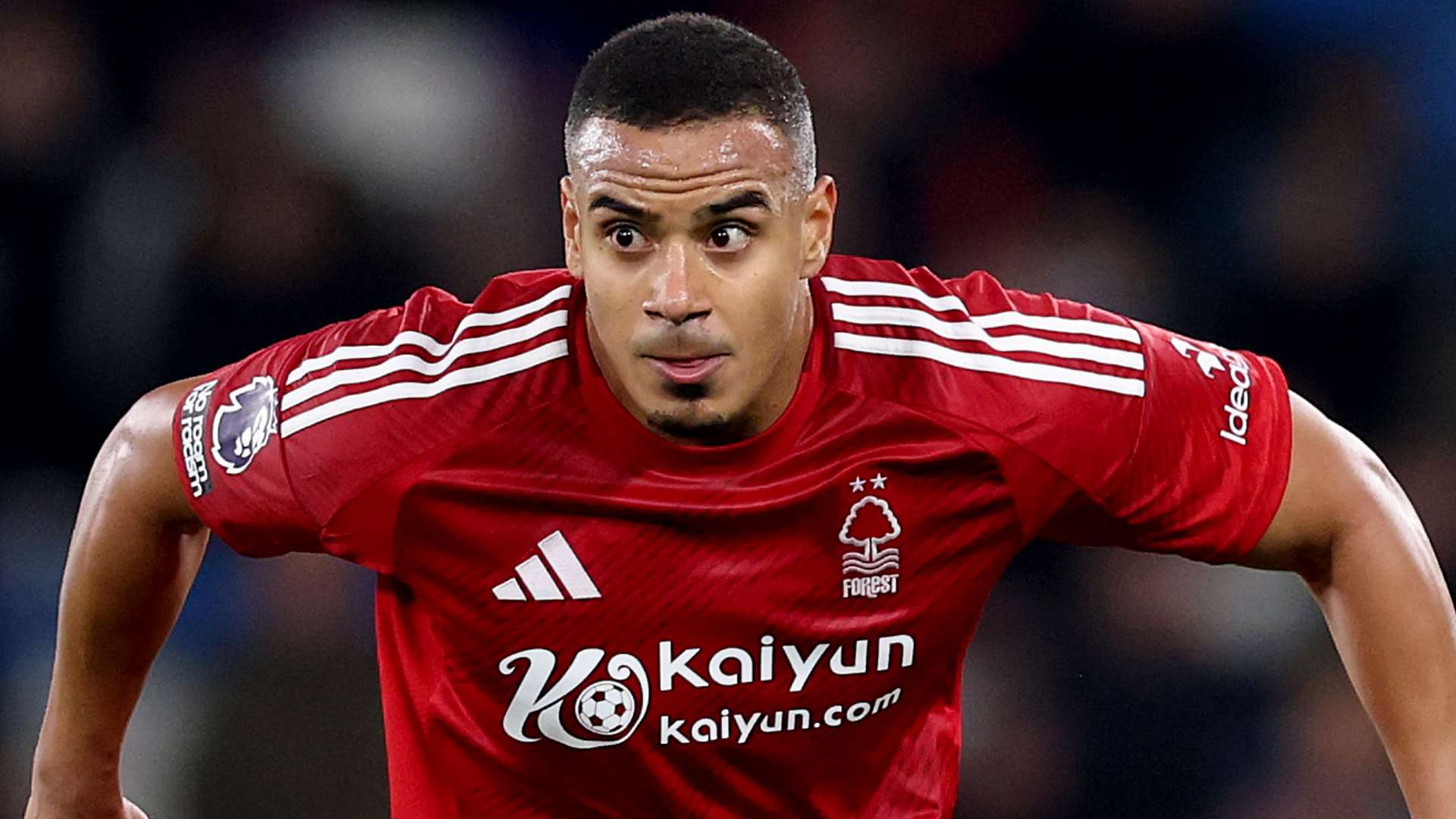 无数球迷的 无数球迷的